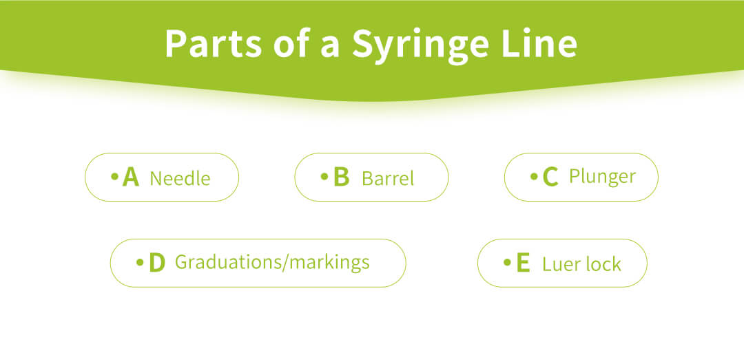 Parts of a Syringe Line